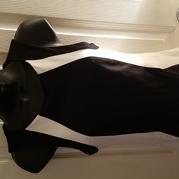 DAVID LERNER Colorblock Dress - Picture 7 of 7